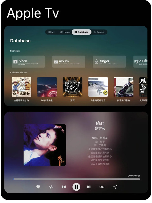 音狐音乐-Jellyfin版本_4_老王_来自小红书网页版