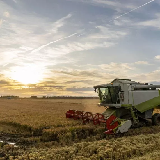 Farm Image