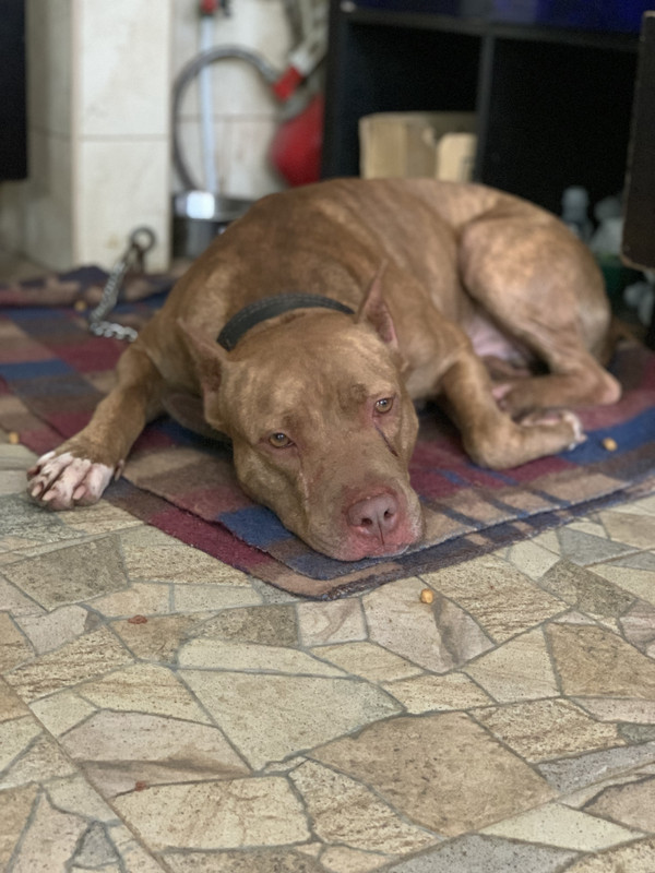 811D6DFD-1128-4231-A940-C6329C925306