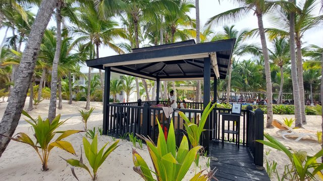 DIA 7 – HOTEL RIU BAMBU Y RIU PARTY - Hotel RIU Bambú + Isla Saona + RIU Party (13)