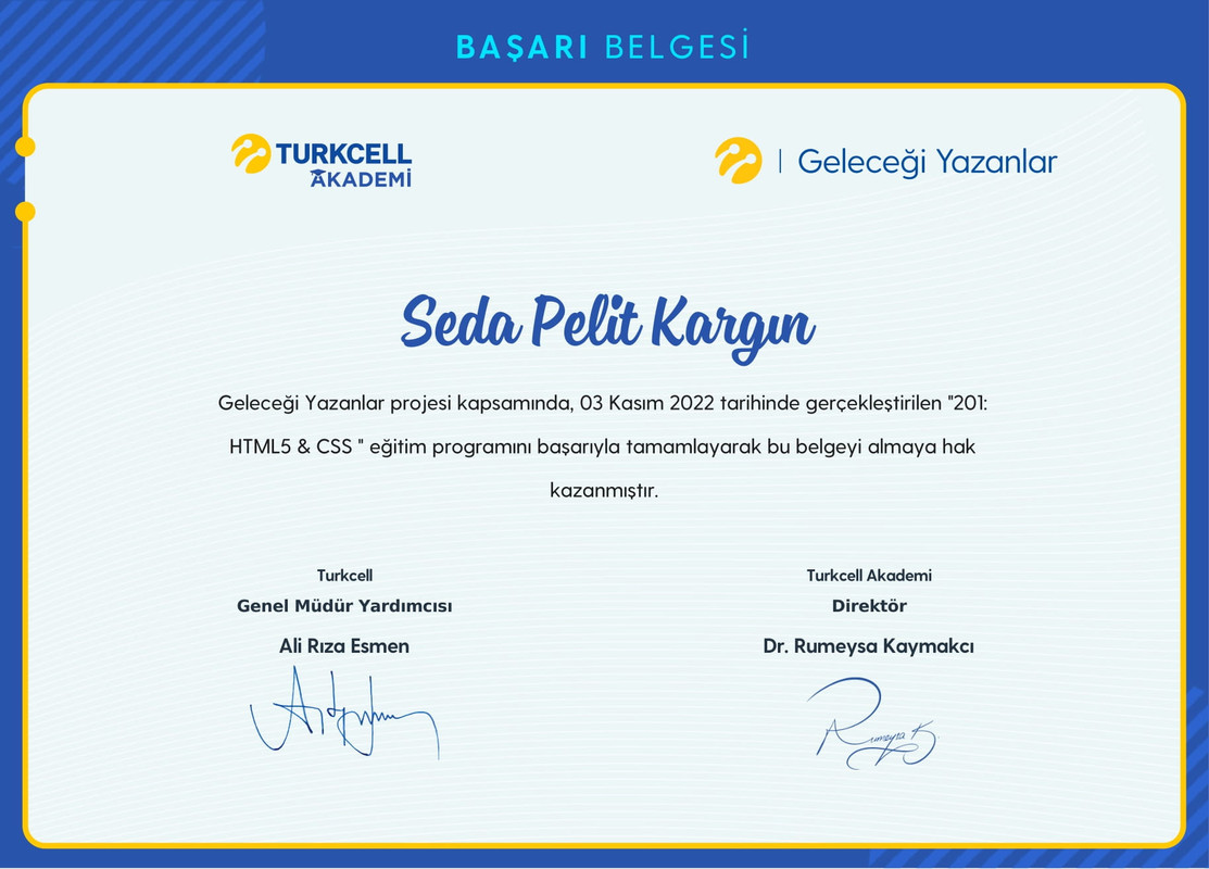 Seda Pelit Kargın-Web Programlama201-1