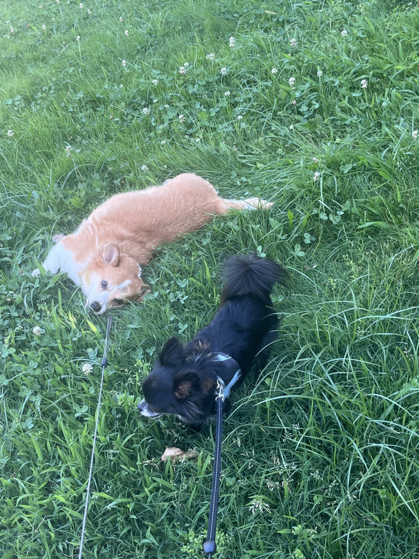 [Image: IMG-5138.jpg]