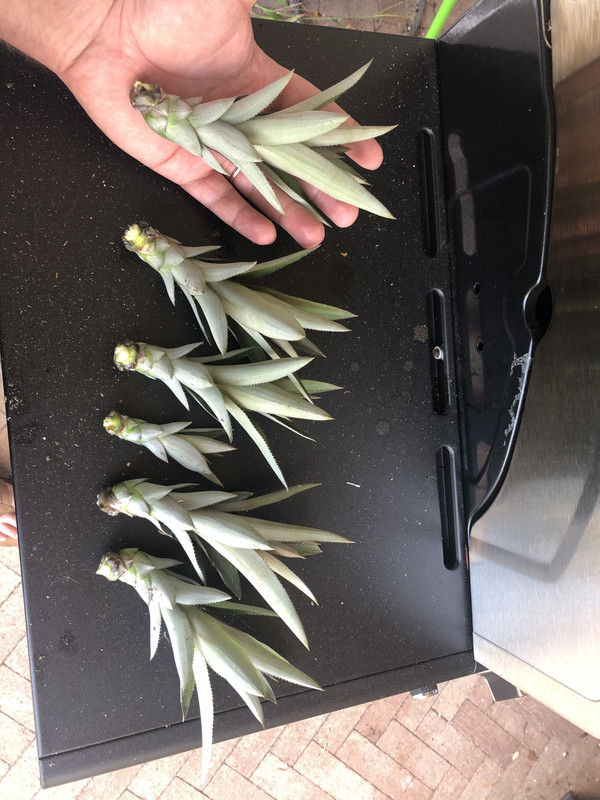 0AC8FECD-EDC8-4684-A98E-B4B933F23E1D