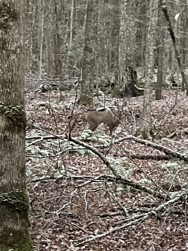 8C1B45CA-36F5-4902-BA4D-7940F5B9292A