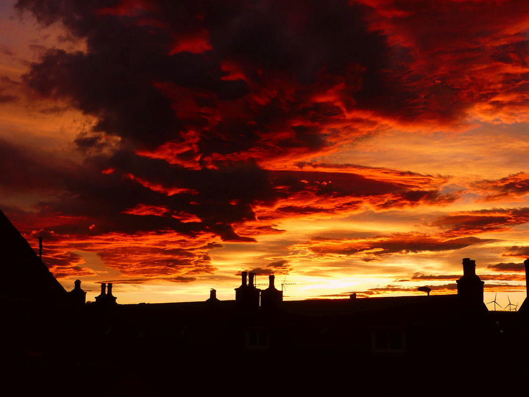 CHRISTMAS EVE SUNSET 5