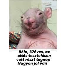 images.jpg
