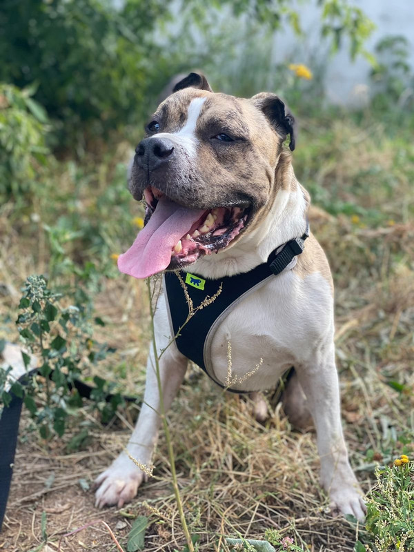 7B85DDCF-B1CF-41BD-8236-9AE096FD60B0