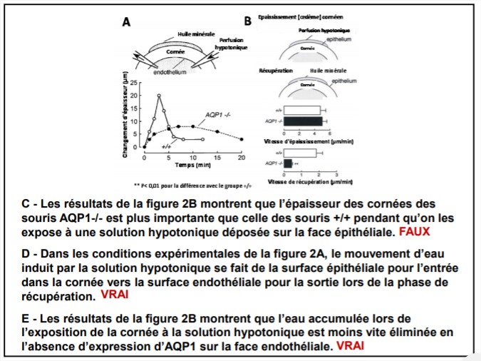 Microsoft PowerPoint - [Récupéré] - Google Chrome_16