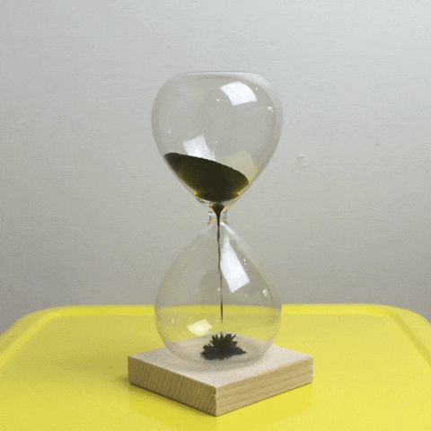 giphy.gif