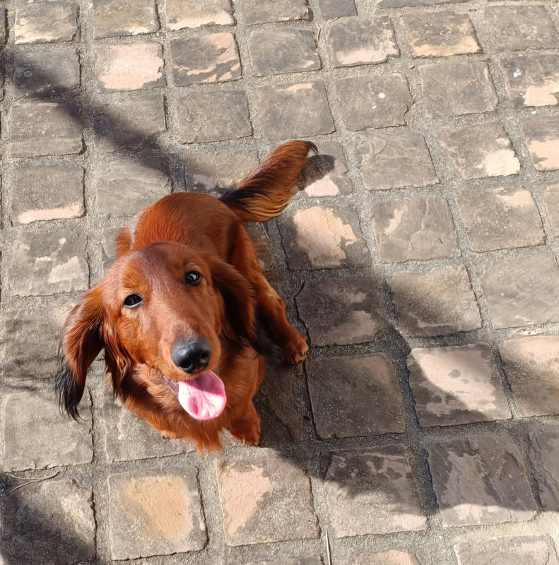 [Image: IMG-20250307-134209.jpg]