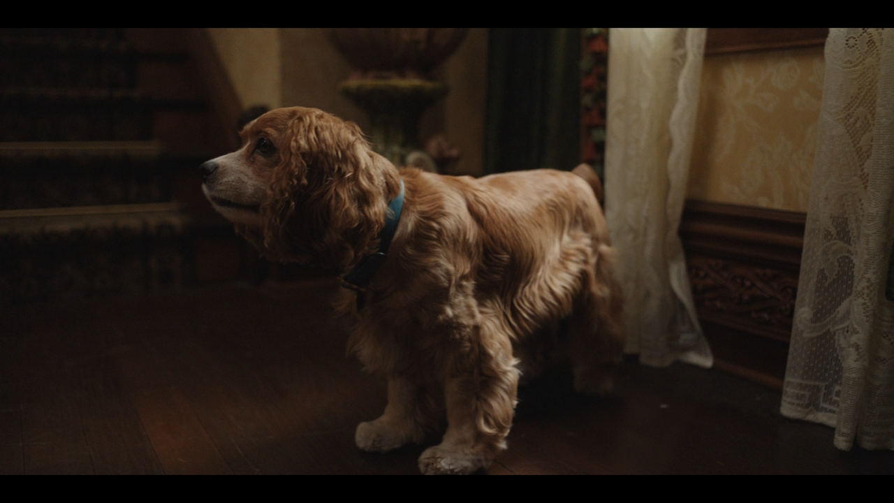 Lady and the Tramp [720p]_Video