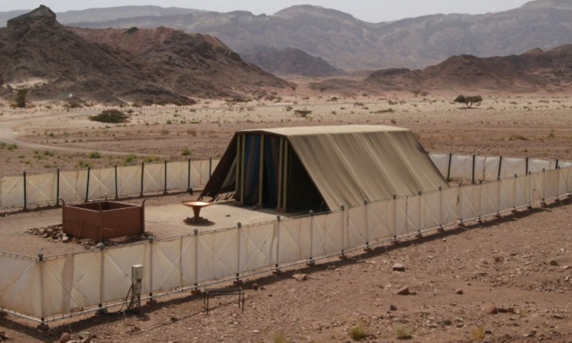 Screenshot_20250815-102905~2