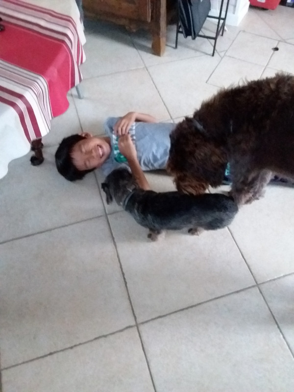 [Image: 20201022-183221-copy-1200x1600-1.jpg]