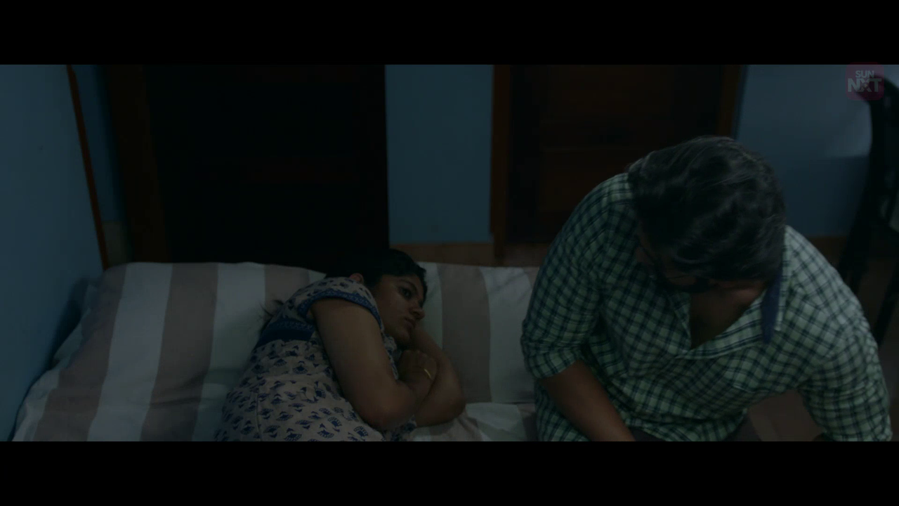 vlcsnap 2026 02 11 15h36m27s993