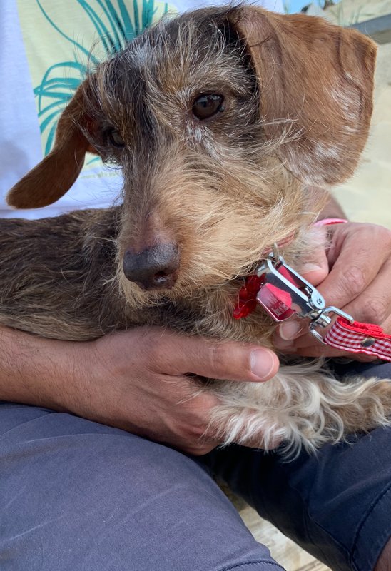 [Image: IMG-8585.jpg]