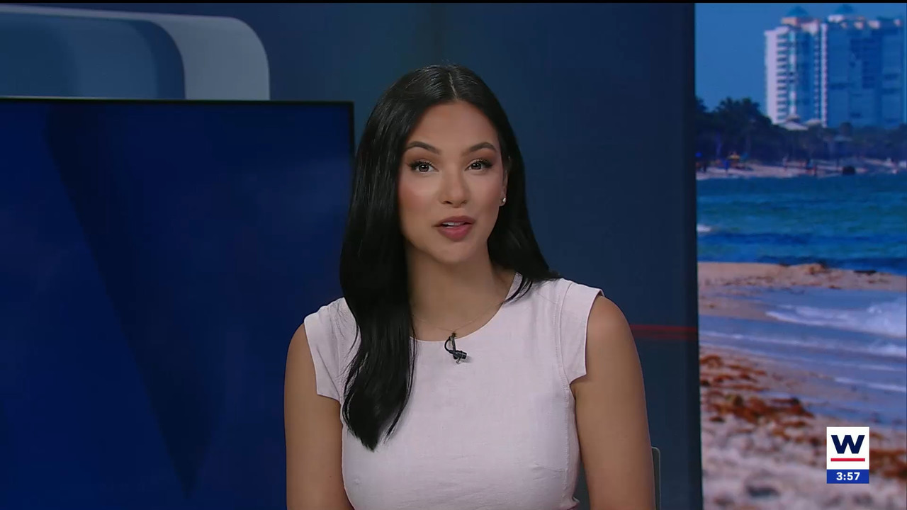 03.18 - 19.00.01 - WINK News at 3pm.   Category  News.      EPG Credi....ts_snapshot_58.06.685