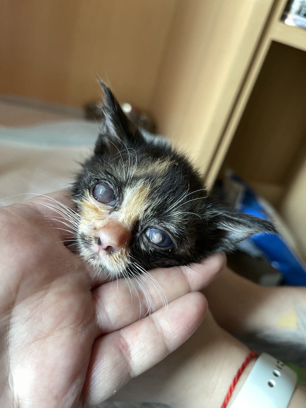 669E3EEB-50F5-4FAA-B6DF-A748DF1E3840