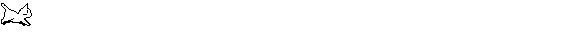 white cat running across screen gif