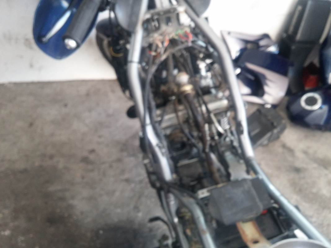 CAM01534