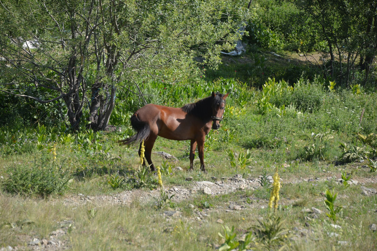 DSC-9436.jpg