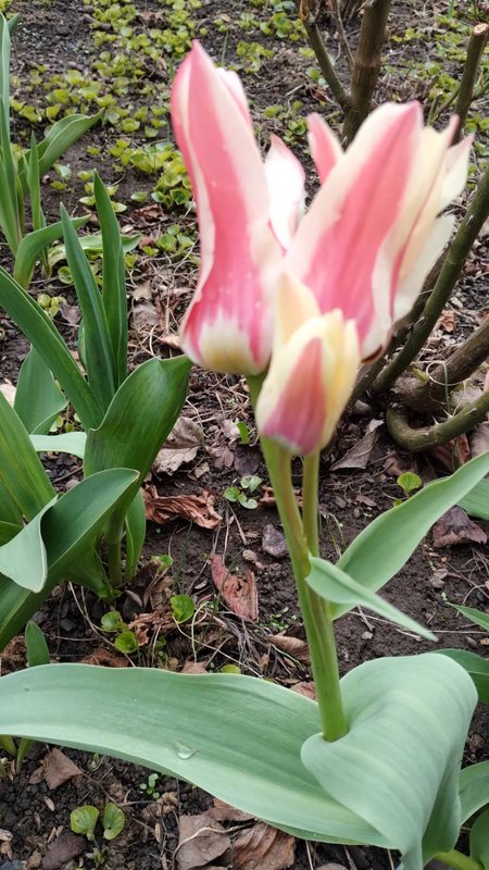 0-02-05-3dbd86e6efd302846dbfeb620aced8259d71d99d9ad29a2880d87b2d32443bcf_a43afcfeefed37fb