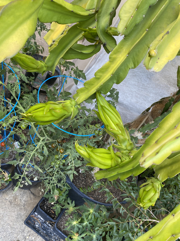 65527060-4430-4A78-BB6F-4B15894BA4E6