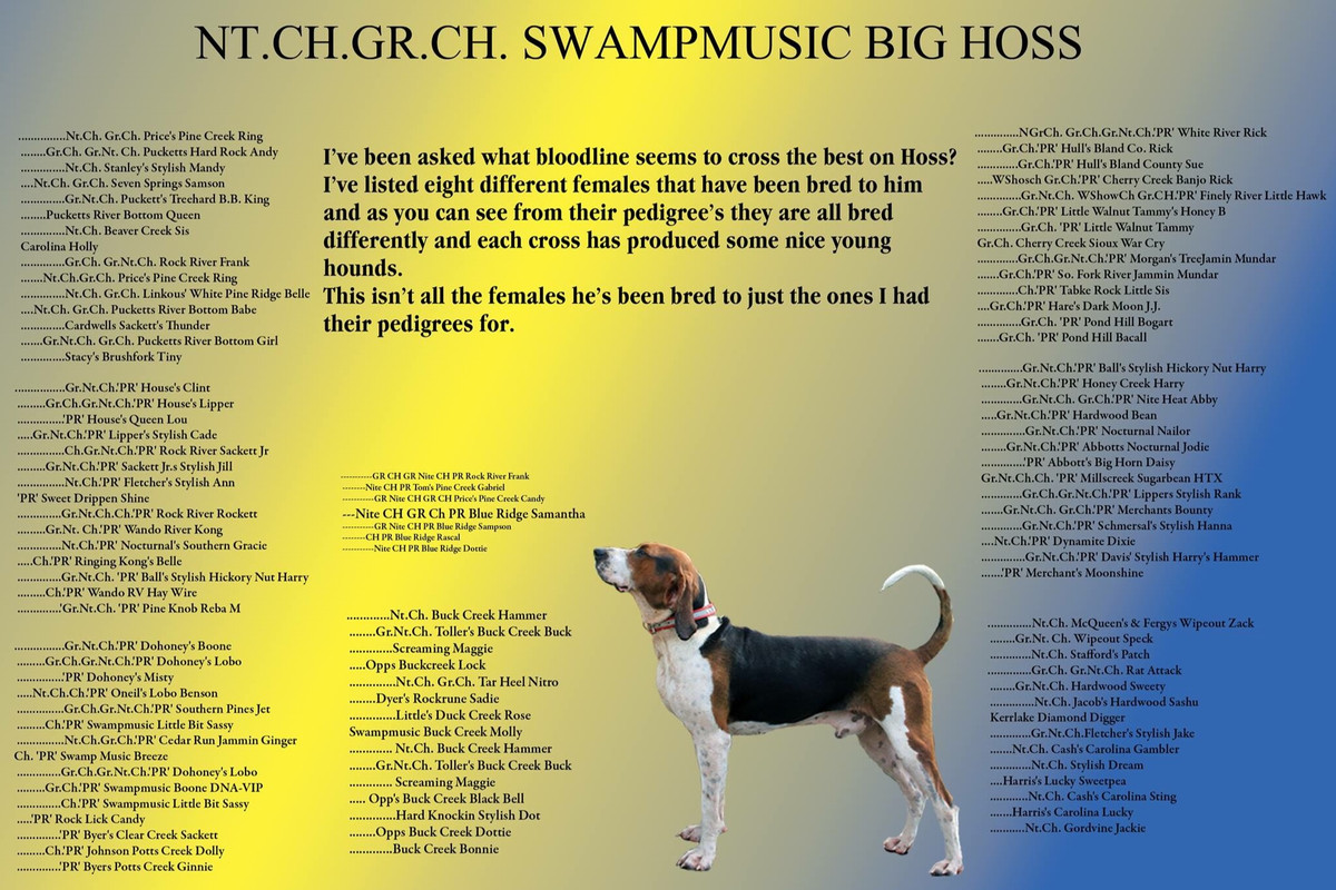 9AF8F58E-D613-4E1C-A016-996258DCAE94