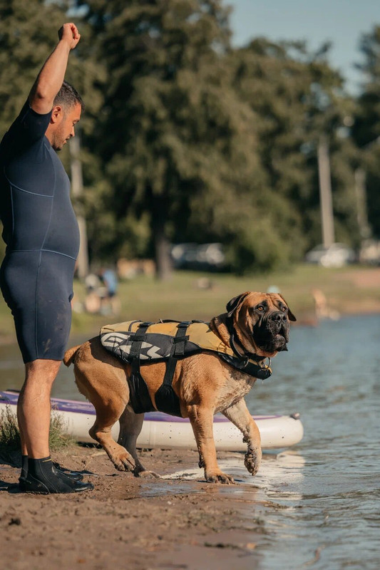 10-18-44-c4Rv1NY6AQq8AHWouNurRS43DMFWJCkuoxE3YBkFuAyTvb3Cjf4epz9IW4kvzubb3zt9qxZNPRC3KC3X5Y0STA==