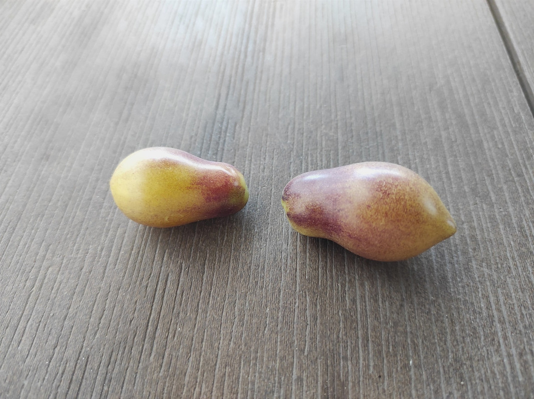 526916121_24200323532920018_4325512087233281272_n