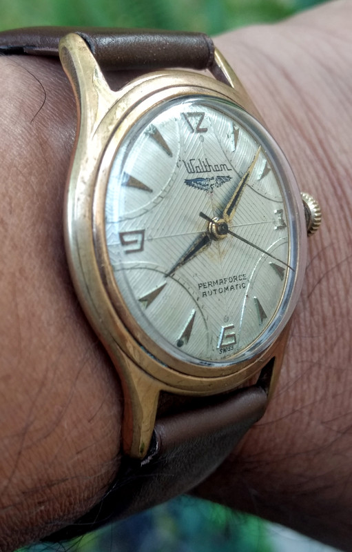 IMG_20200529_080626553_HDR~2