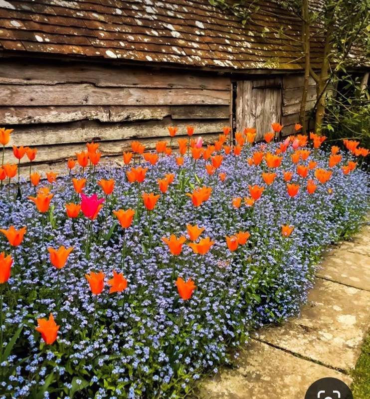 Screenshot_20240404_195843_Pinterest