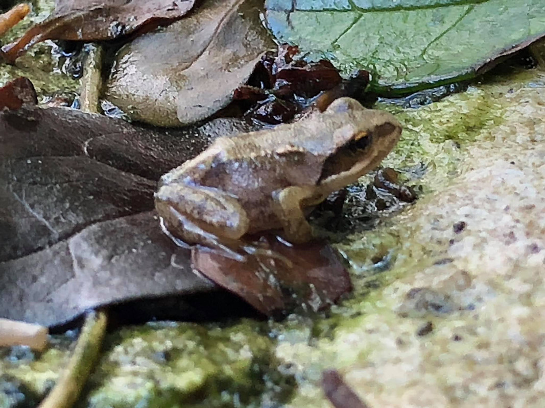 66365990_10157301039647457_2220301567213436928_o