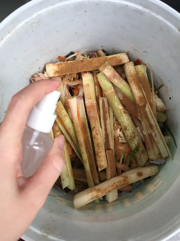 spray-em1-in-bokashi-bucket.jpg