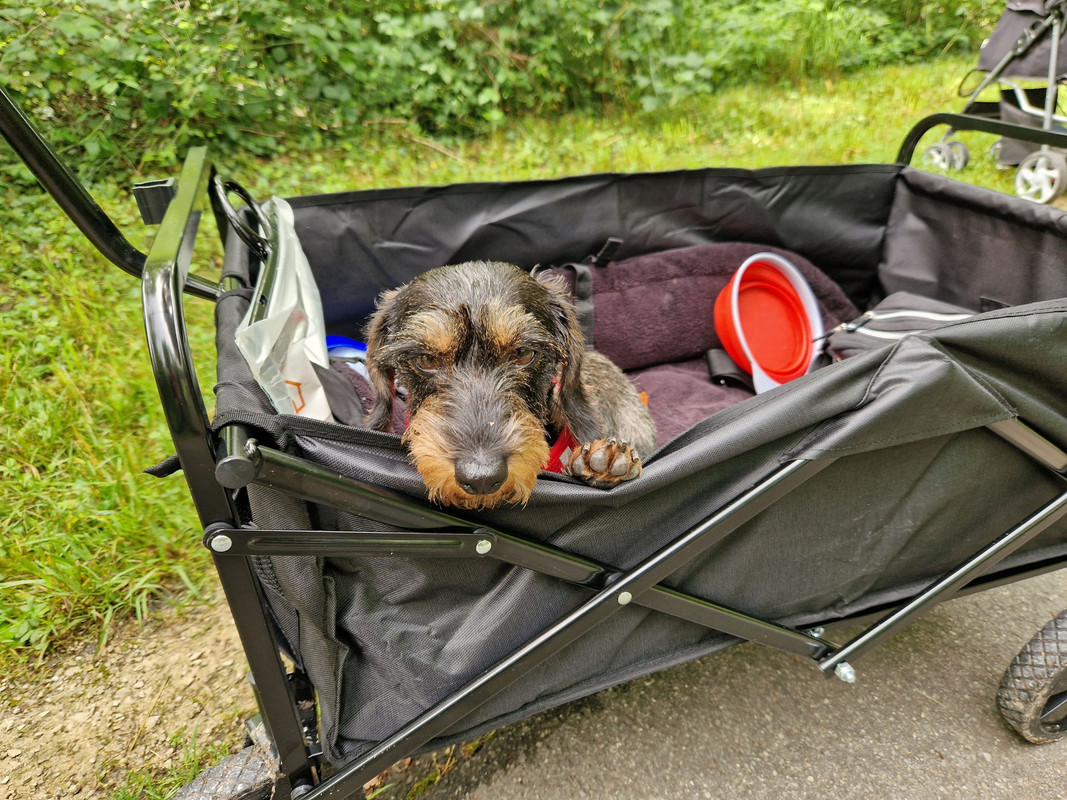 [Image: 20240629-101858.jpg]