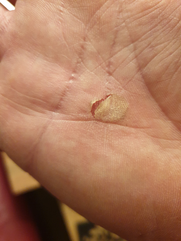 CE3E257E-2DEE-4970-B54A-0B62CC541BB0