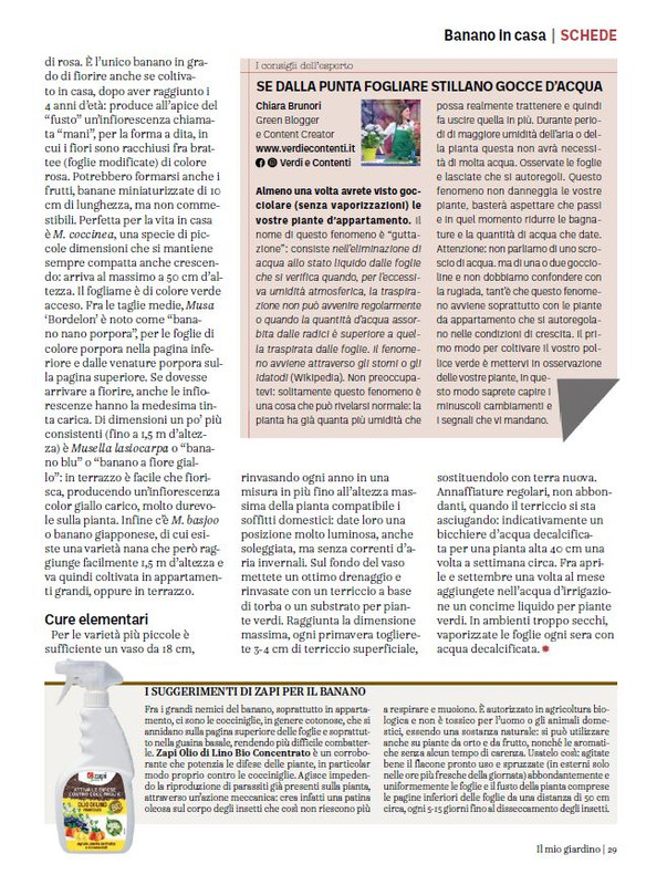 Il Mio Giar GIu-Lug 2024 (10)