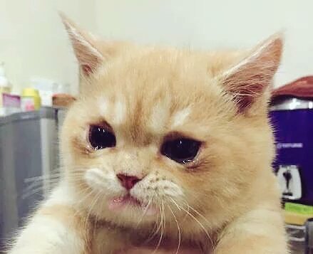̵ ̹