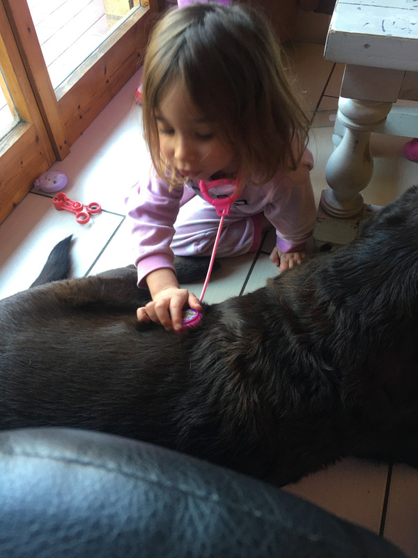 3826580F-944A-4A46-9B65-0B260F2EC8BB