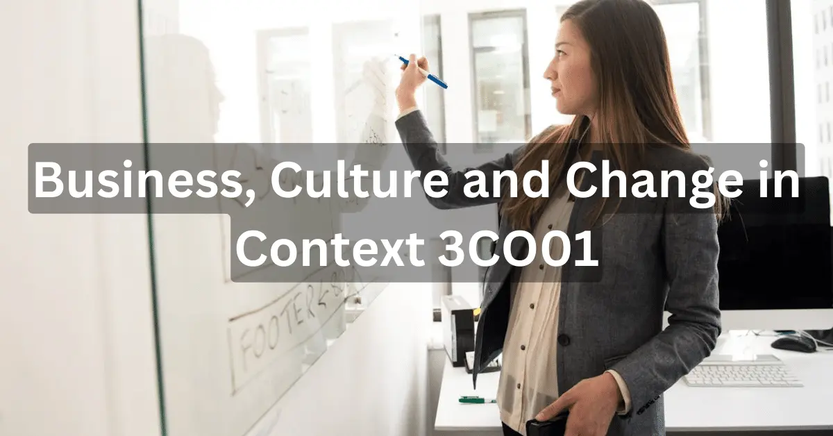 Business, Culture and Change in Context 3CO01