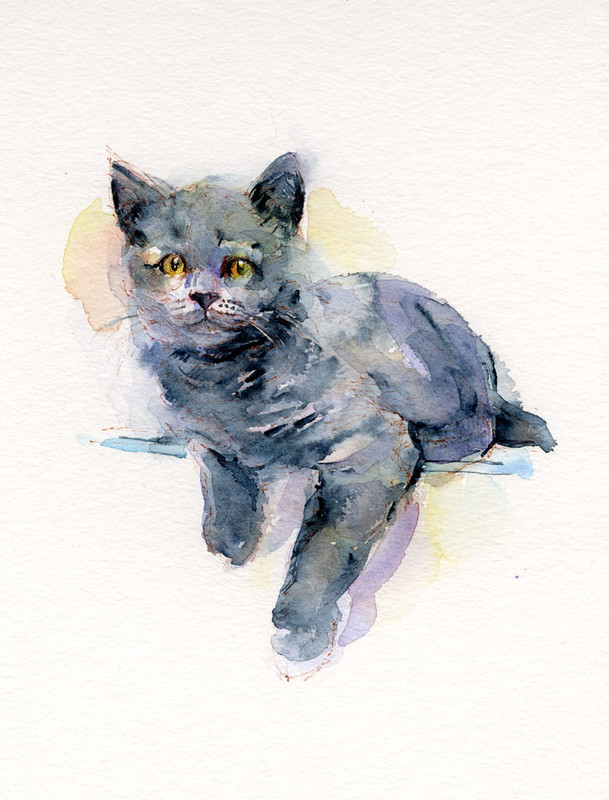 1-John-Keeling-Grey-kitten-2017-watercolor-Meister-Drucke-382494