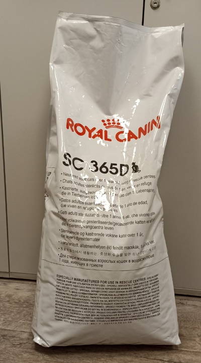 ������ ������ ��� ��������