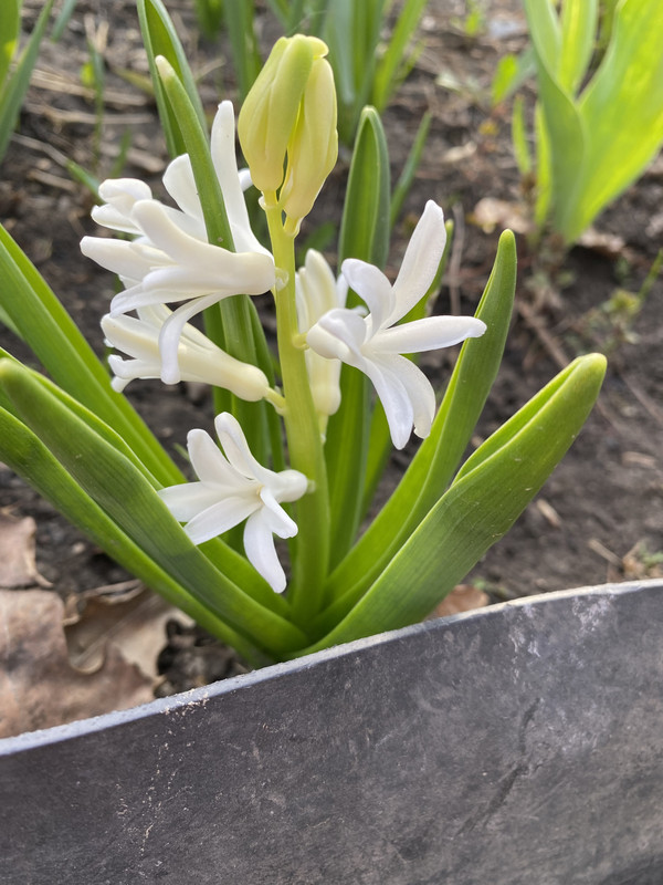 8DCDD7A4-52C8-4A55-908D-CCA51B0A5137