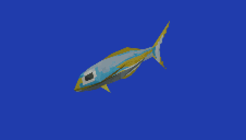 fish