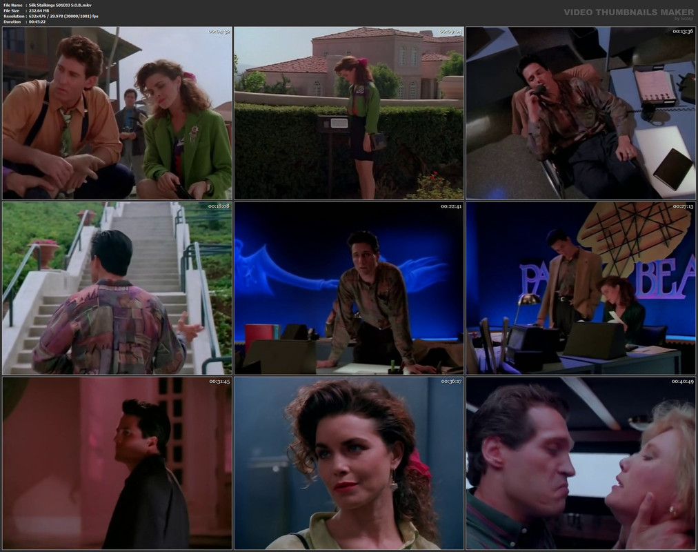 Silk Stalkings S01E03 S.O.B..mkv