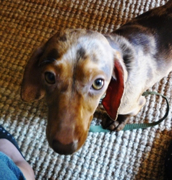 [Image: P1110579.jpg]