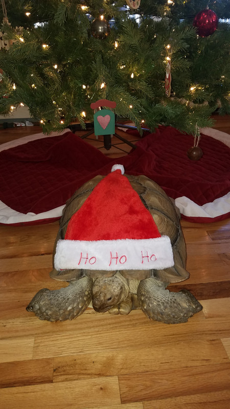 20181225_120920