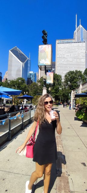 Caminando por Chicago: Esculturas, the Bean, lugares de películas y Torre Willis - Boston y Chicago (39)