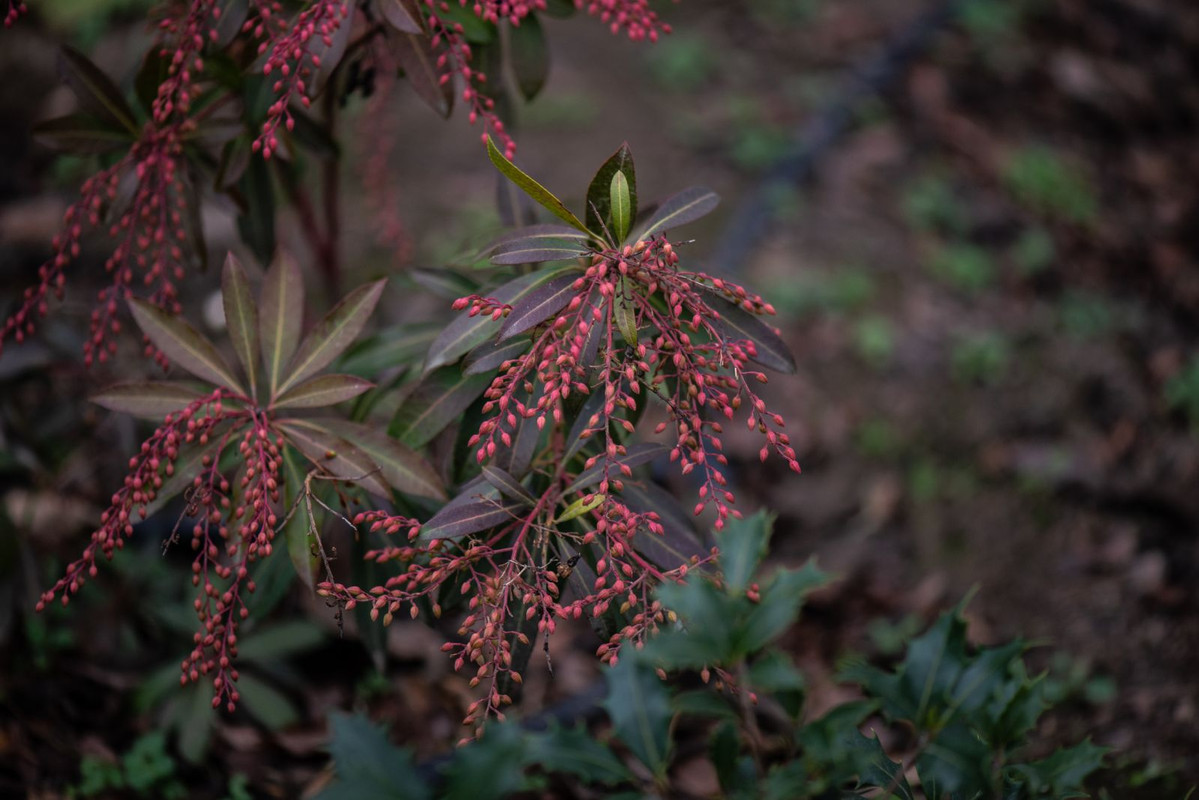 IMG-e9b0e5ea100b793b9d0c668d9f677f73-V