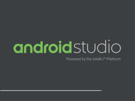 Android Studio 2020.3.1.24 (x64)