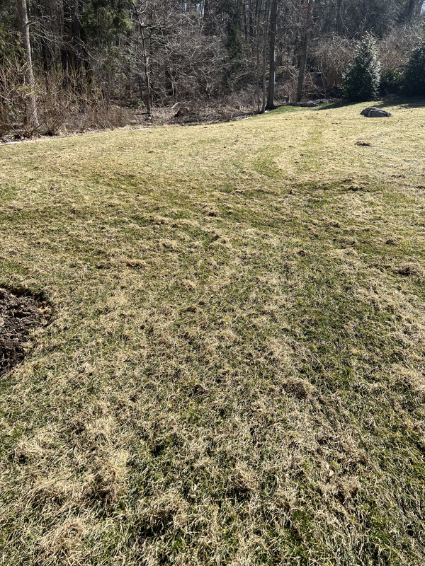 B4A919A4-1F9B-4314-8796-271C692AF012